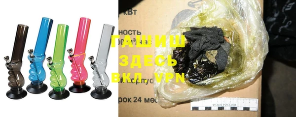 индика Зеленодольск