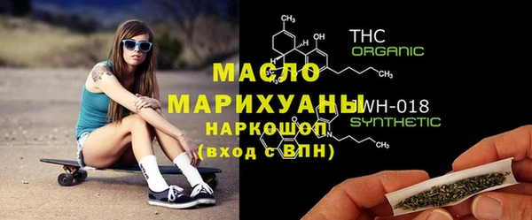 индика Зеленодольск
