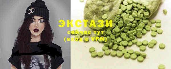 индика Зеленодольск