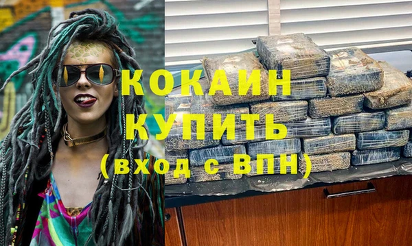 индика Зеленодольск