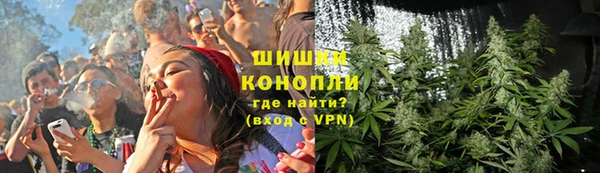 индика Зеленодольск