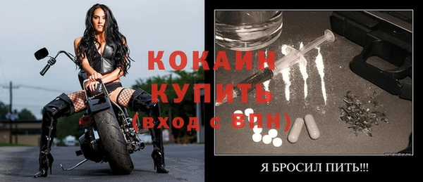 индика Зеленодольск