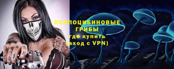 индика Зеленодольск