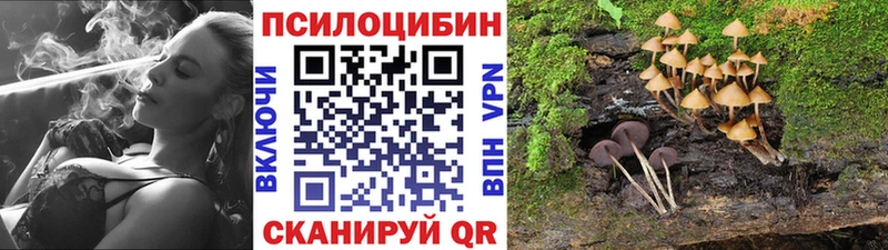 Галлюциногенные грибы Psilocybine cubensis  Купить  Чехов 